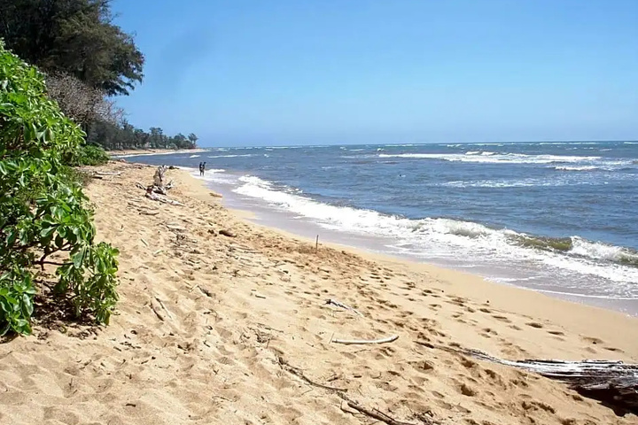 Beach 10 of 14