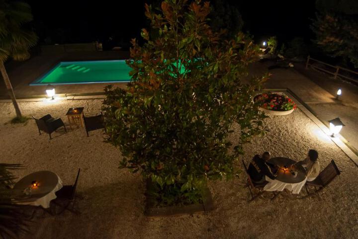 Photo 22