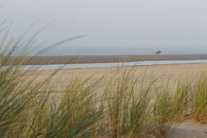 Beach 33 of 33