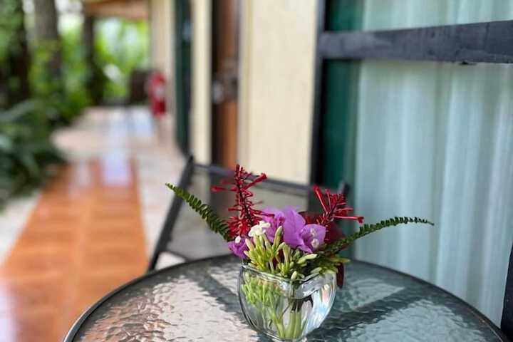 Terrace/Patio 8 of 19