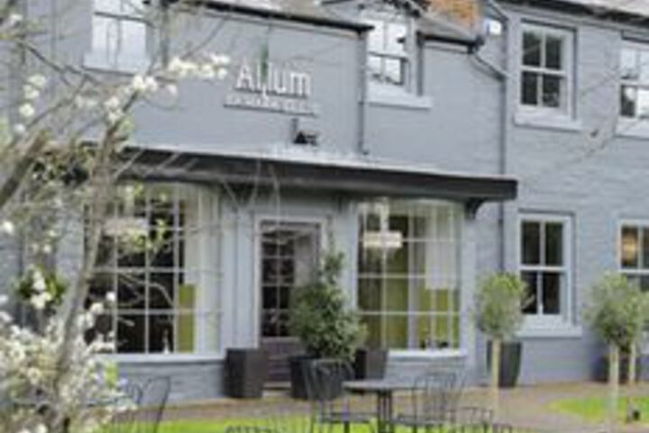 Allium by Mark Ellis