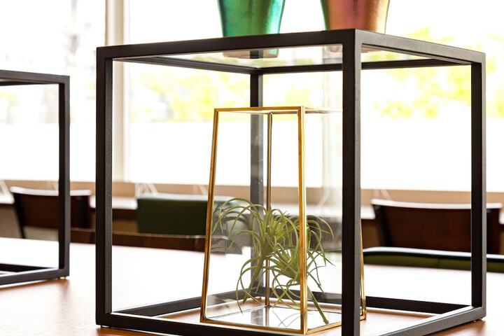 Hotel Amenity