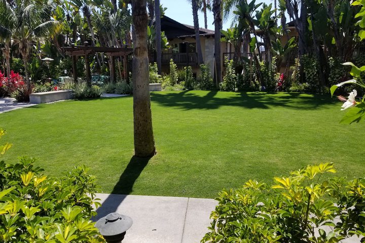 Garden view