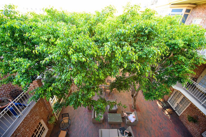 Courtyard view
