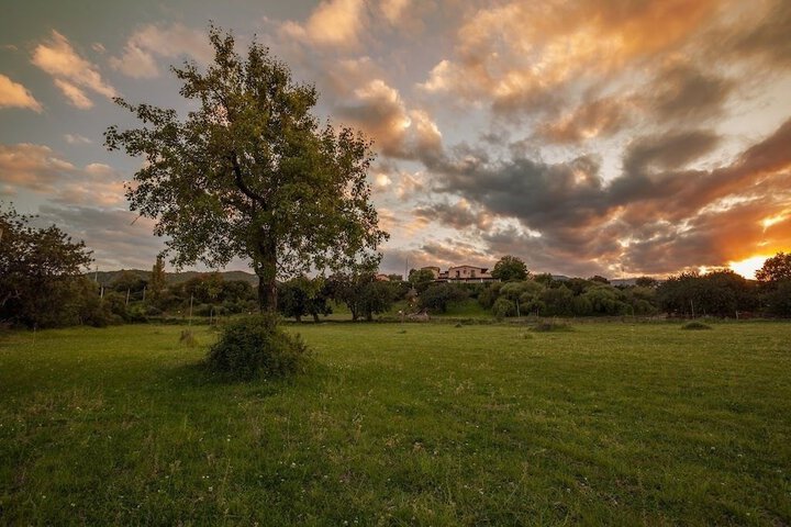 Property Grounds 28 of 41