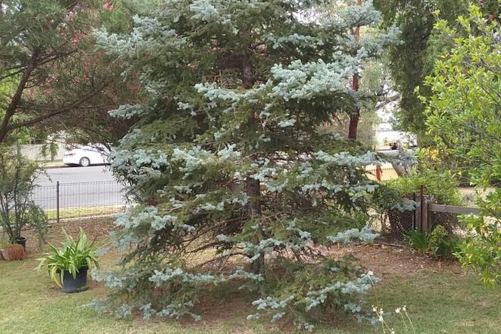 Property Grounds 21 of 22