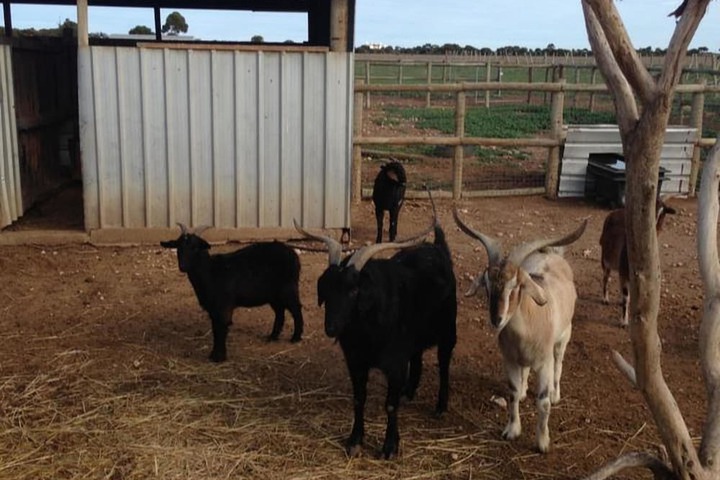 Property Grounds 15 of 21