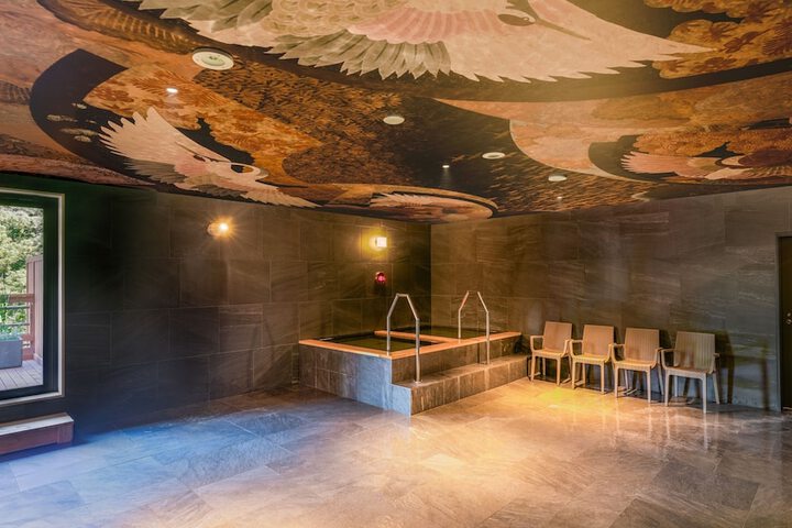 Spa and Wellness