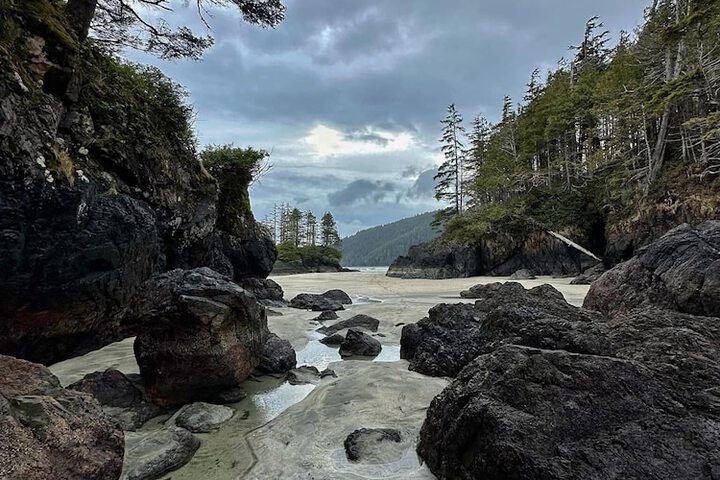 Beach 55 of 64