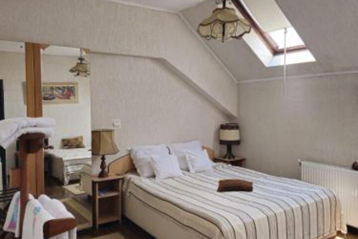 Vila Monica