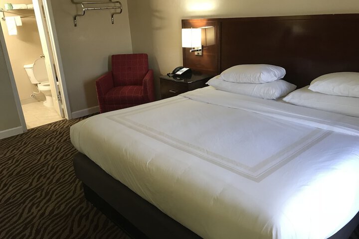 Standard Single Room 1 King Bed (16 of 17)
