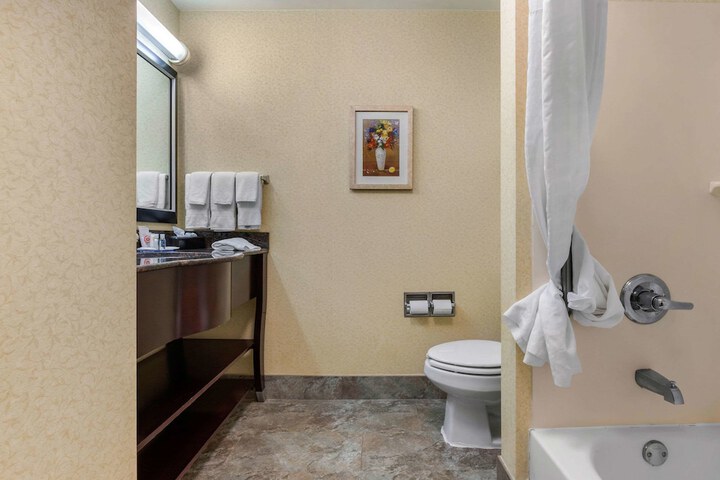 Standard Room, King or Two Doubles (8 of 8)