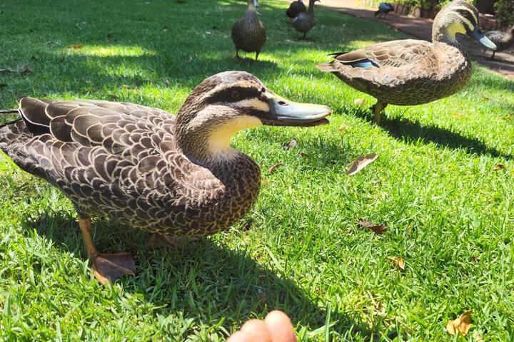 Fitness Facility Photos