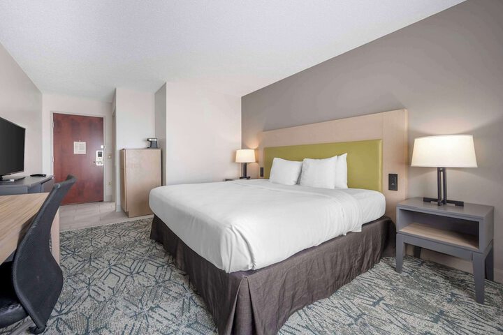 1 King Bed (6 of 12)