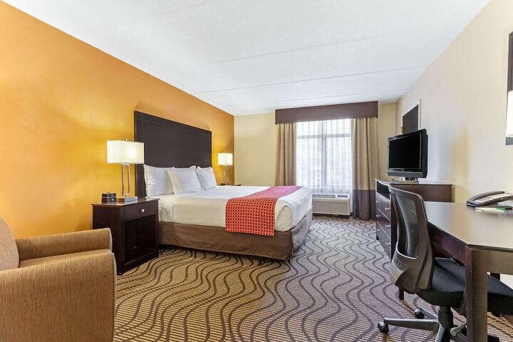 1 King Bed Accessible (6 of 8)