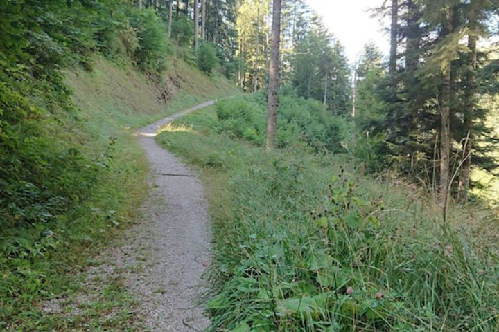 Outdoor Activities 10 of 26