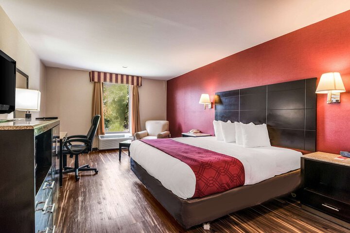 1 King Bed (8 of 13)