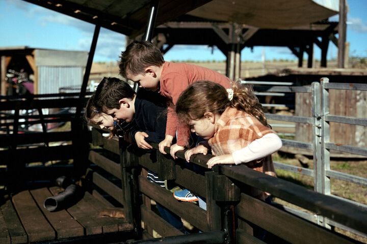 Childrens Activities 26 of 66