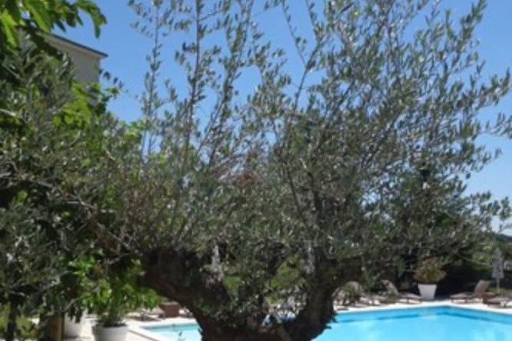 Pool Hotel