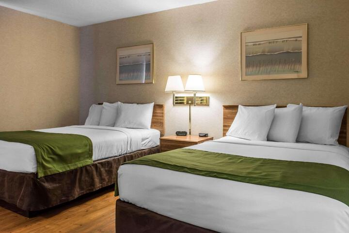 Standard Room, King or Two Doubles (8 of 10)