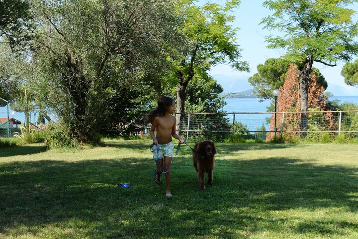 Pet Friendly 79 of 136