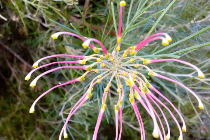 Hotel Exterior 58 of 62