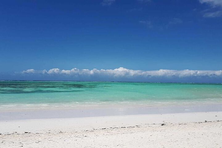 Beach 85 of 98