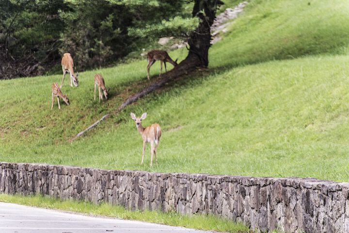 Hotel View 106 of 108