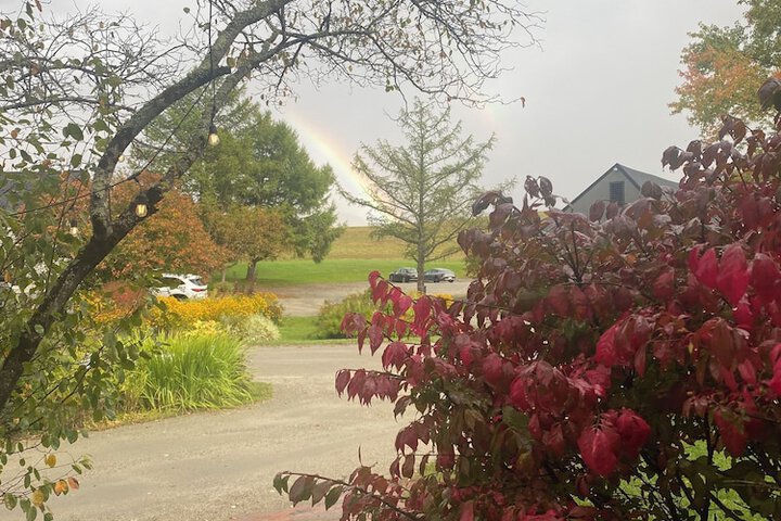 Hotel View 300 of 311