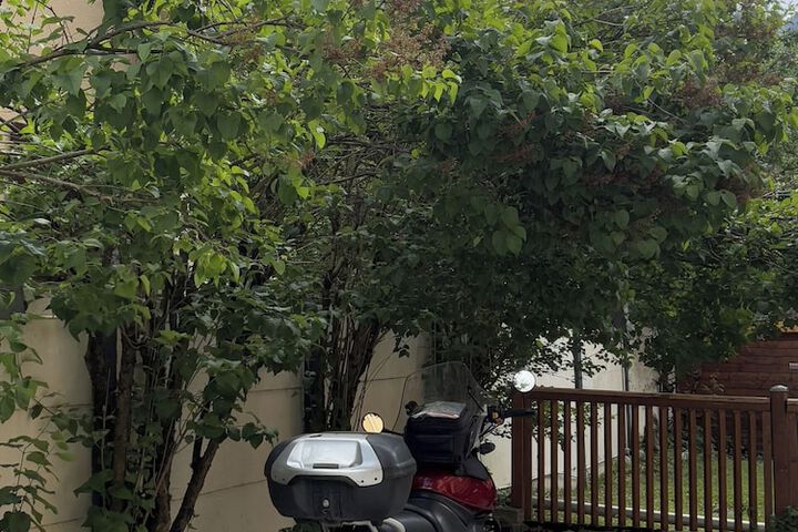 Property Grounds 53 of 58