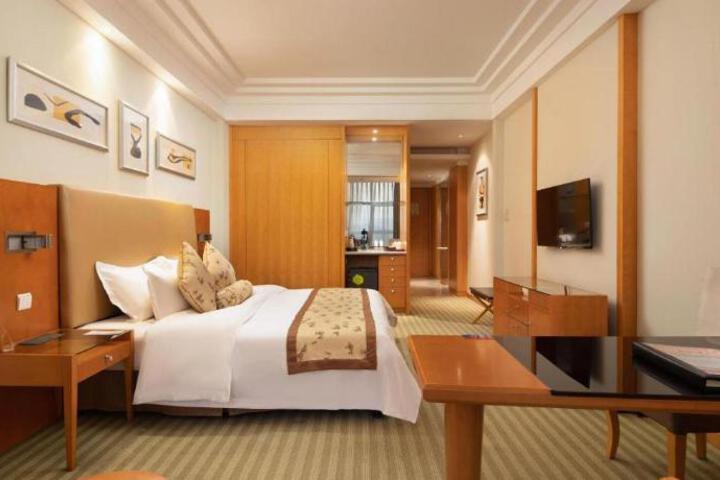 Suite Room