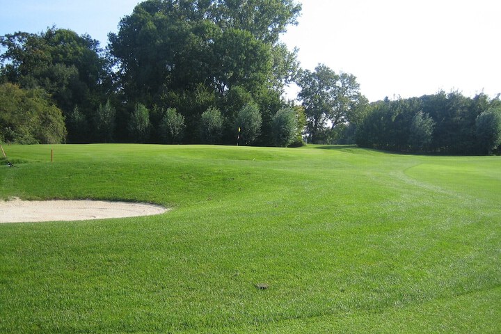 Golf 11 of 19