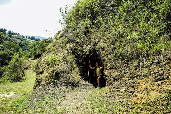 Exterior of BOSQUE EL DESCANSO