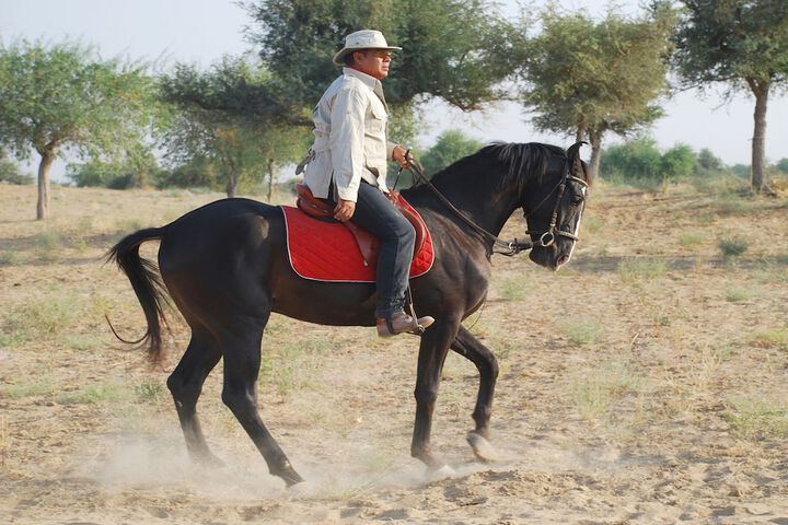 Horseback riding