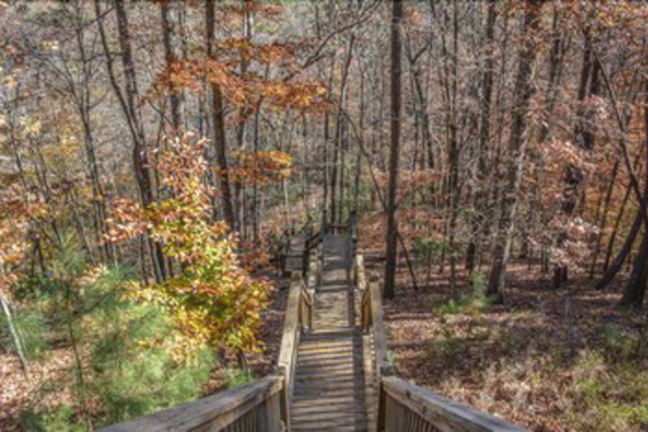 Property Grounds 15 of 21