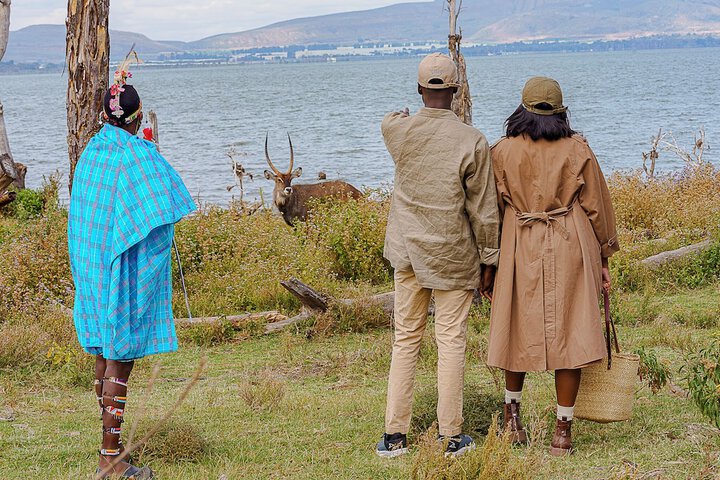 Safari