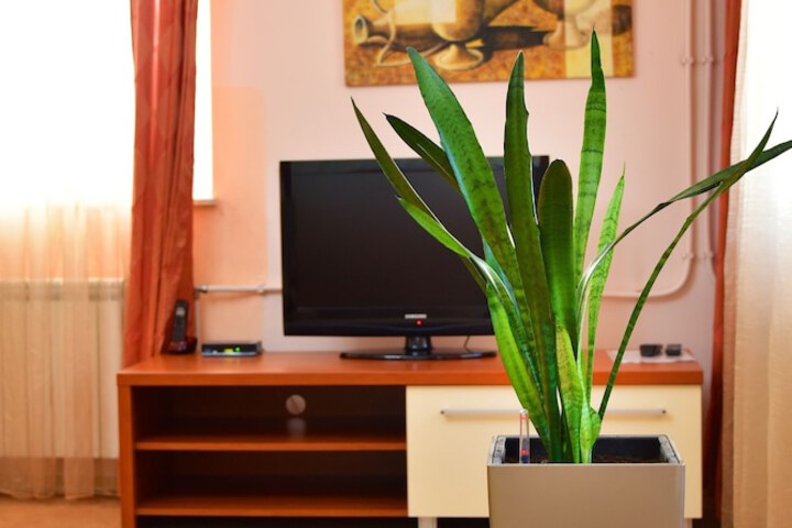Room 19 of 42