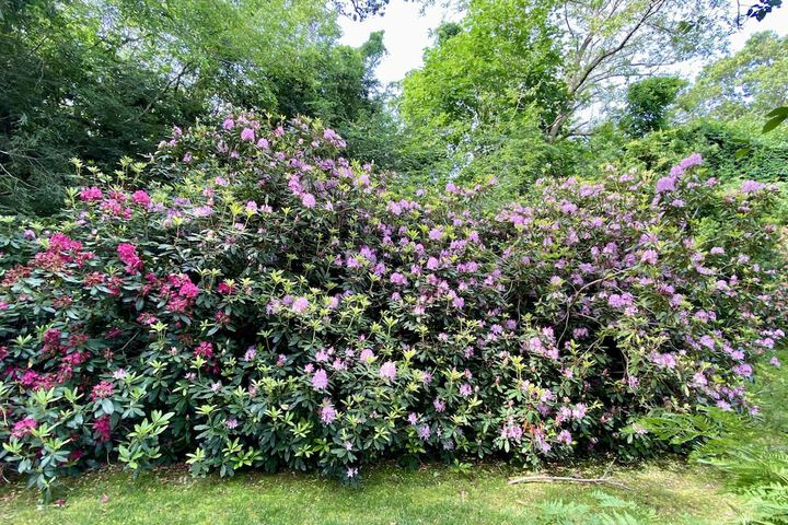 Hotel Exterior 50 of 53