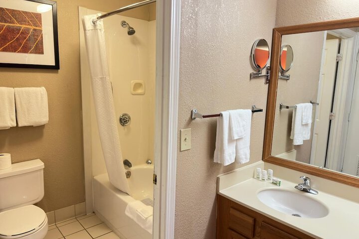1 Queen Bed Studio Accessible Suite (31 of 44)