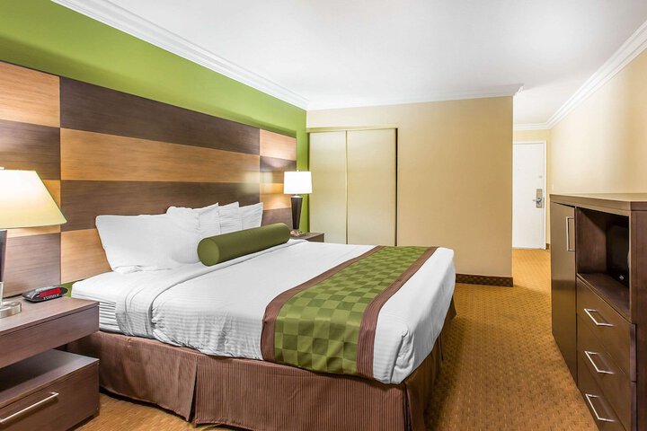 1 King Bed (6 of 9)