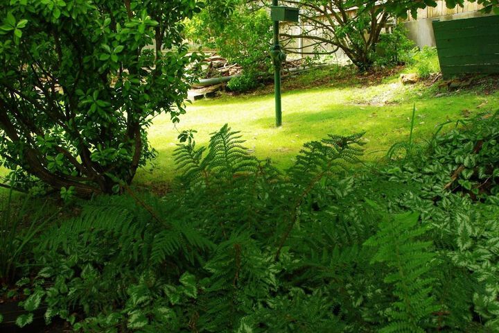 Property Grounds 28 of 39