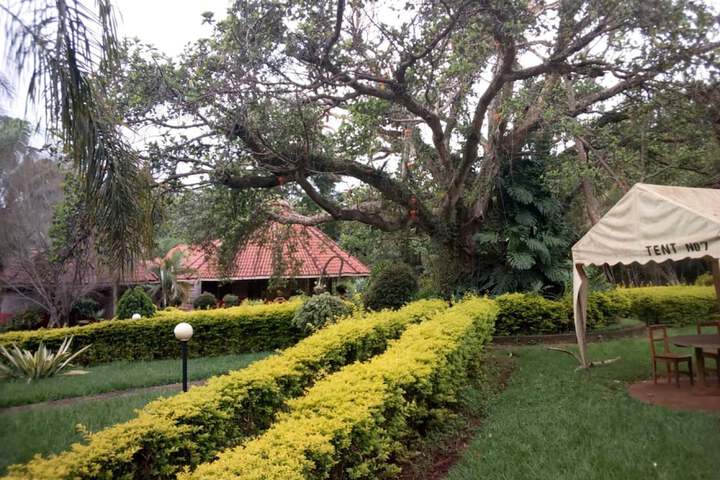 Hotel Exterior 11 of 21