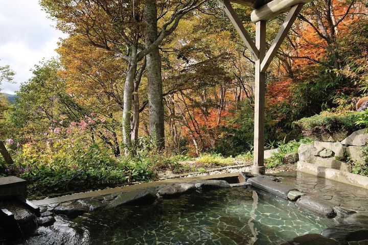 Spa and Wellness