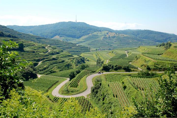 Spa and Wellness Pictures