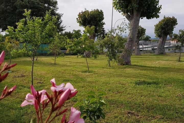 Property Grounds 39 of 51