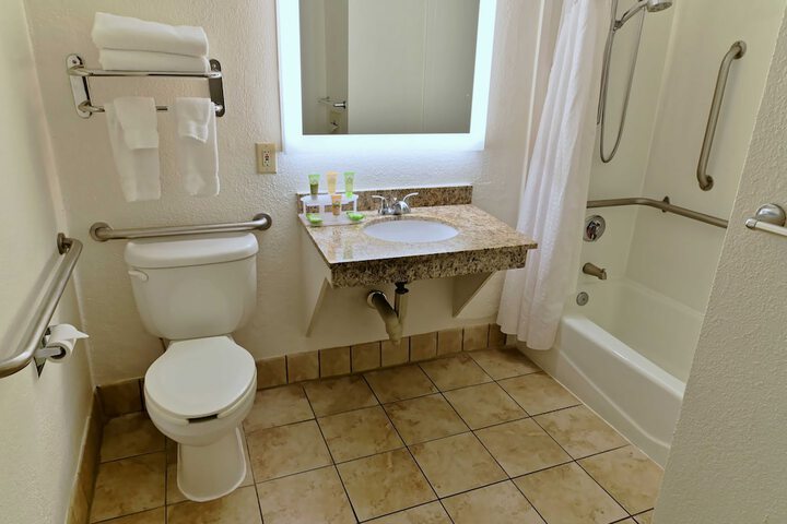 1 King Bed Accessible (8 of 12)
