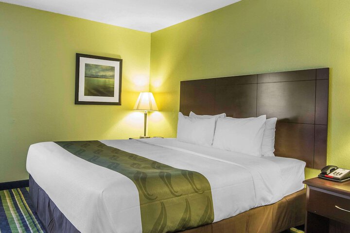 1 King Bed (4 of 6)