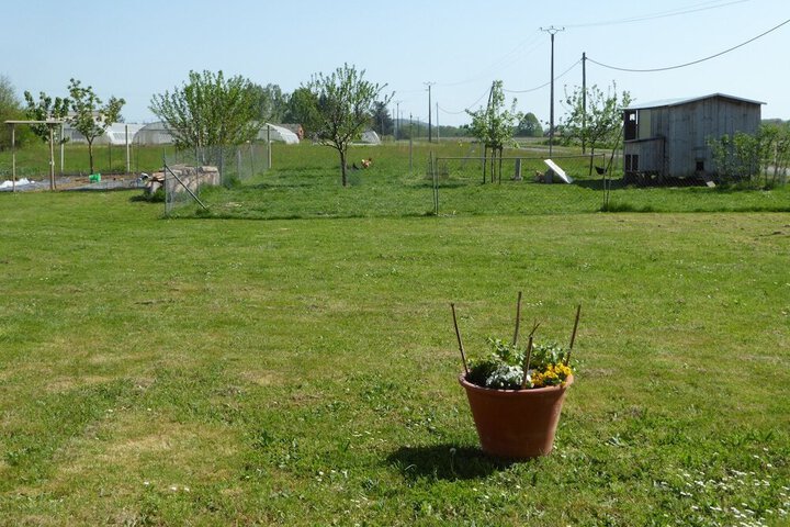Photo 14