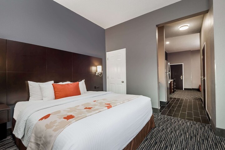 1 King Bed 1 Bedroom Accessible Studio Suite with Roll in Shower (4 of 8)