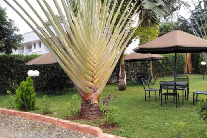 Terrace/Patio 50 of 57